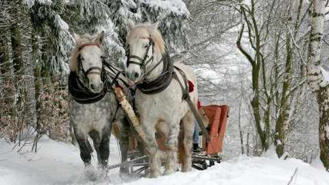 BIESIADA SYLWESTROWA Z KULIGIEM 2018/19 - Sylwestrowo.pl BIESIADA SYLWESTROWA Z KULIGIEM 2018/19 - Sylwester