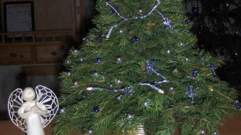 Święta Bożego Narodzenia Zieleniec - Sylwestrowo.pl Święta Bożego Narodzenia Zieleniec - Sylwester