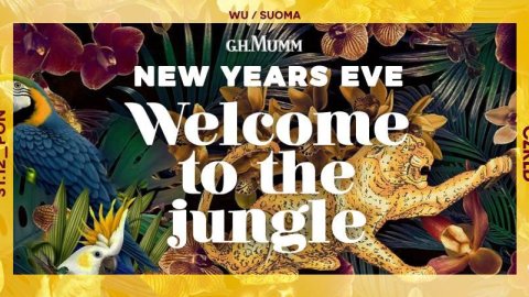 New Years Eve | Welcome to the jungle - Sylwestrowo.pl New Years Eve | Welcome to the jungle - Sylwester
