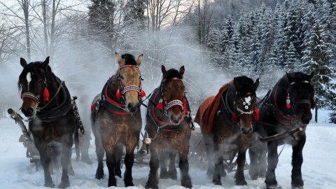 Kuligi Świąteczne Brenna 27, 28, 29, 30.12.2019 r + zabawa w góralskiej Karczmie - Sylwestrowo.pl Kuligi Świąteczne Brenna 27, 28, 29, 30.12.2019 r + zabawa w góralskiej Karczmie - Sylwester