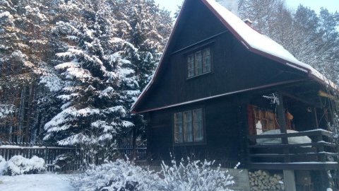 Dom z bala w sercu Puszczy Knyszyńskiej - Sylwestrowo.pl Dom z bala w sercu Puszczy Knyszyńskiej - Sylwester