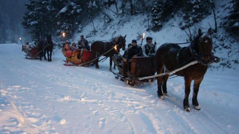 Szalone kuligi w Istebnej 1,27,28,29.12.2018 - Sylwestrowo.pl Szalone kuligi w Istebnej 1,27,28,29.12.2018 - Sylwester