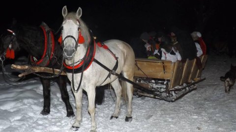 Kuligi z okazji DNIA BABCI i DZIADKA - Sylwestrowo.pl Kuligi z okazji DNIA BABCI i DZIADKA - Sylwester