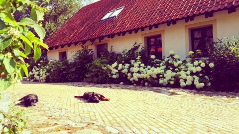 Karnawał w sercu Warmii i Mazur - Sylwestrowo.pl Karnawał w sercu Warmii i Mazur - Sylwester