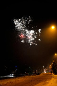 Willa Anna Sylwester