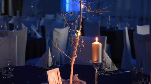 Zabawa karnawałowa Hotel Jaśmin 12 km od Poznania