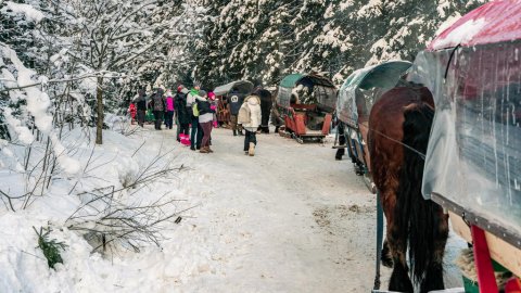 KULIGI KARNAWAŁOWE VIP w ISTEBNEJ Z BIESIADĄ I DYSKOTEKĄ W STYLU FOLK POLO - Sylwestrowo.pl KULIGI KARNAWAŁOWE VIP w ISTEBNEJ Z BIESIADĄ I DYSKOTEKĄ W STYLU FOLK POLO - Sylwester