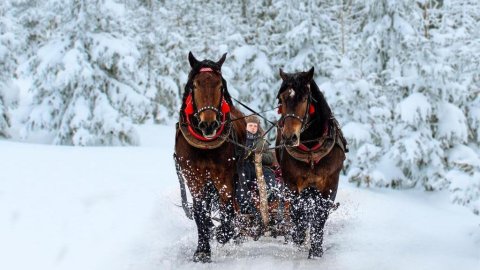 Sylwester Góralski w Wiśle, Istebnej z kuligiem i pochodniami - Sylwester