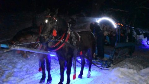 KULIGI BOŻONARODZENIOWE W ISTEBNEJ Z KUBALONKI z DYSKOTEKĄ z BIESIADĄ REGIONALNĄ - Sylwester