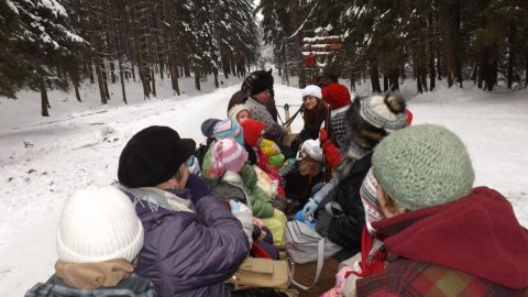 KULIG SYLWESTROWY POPOŁUDNIOWY ISTEBNA Z KUBALONKI Z KAPELĄ GÓRALSKĄ I BIESIADĄ  - Sylwester