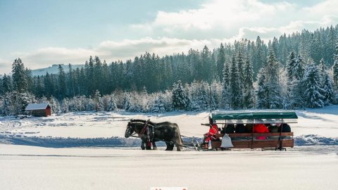 KULIG SYLWESTROWY, POPOŁUDNIOWY W ISTEBNEJ z BIESIADĄ,zabawami z KAPELĄ GÓRALSKĄ - Sylwester