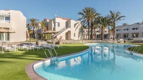 THe Koala Garden - Sylwester