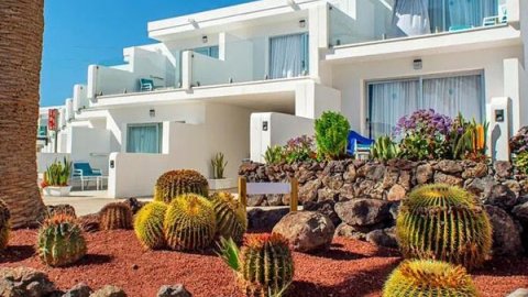 COOEE Taimar - Sylwester