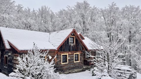 Sylwester 0% z sauną, morsowaniem i koncertem gongów w Chacie Miłośliwce - Sylwester
