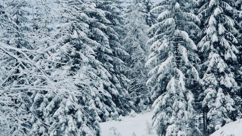 Tatra Girls Sylwester Joga & Trekking Camp - Sylwester