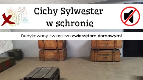 Cichy Sylwester w schronie - Sylwester