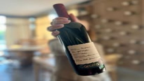 Sylwester w Winiarni Caraffa - Sylwester