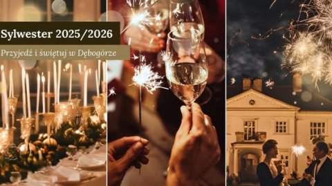 Sylwester Dwór Dębogóra - Sylwester