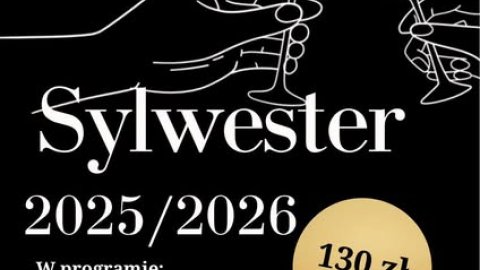 Sylwester w Kaczogrodzie - Sylwester