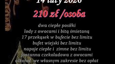 Ostatki Bal Karnawałowy  - Sylwester