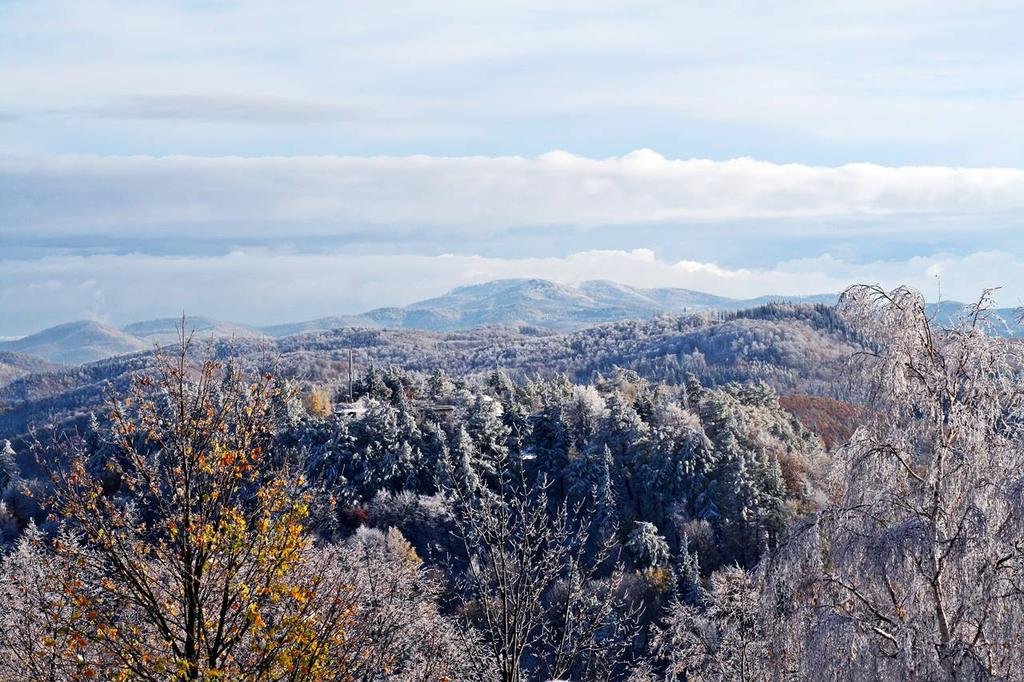 Srebrna Góra