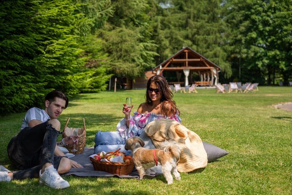 Pikniki w hotelu