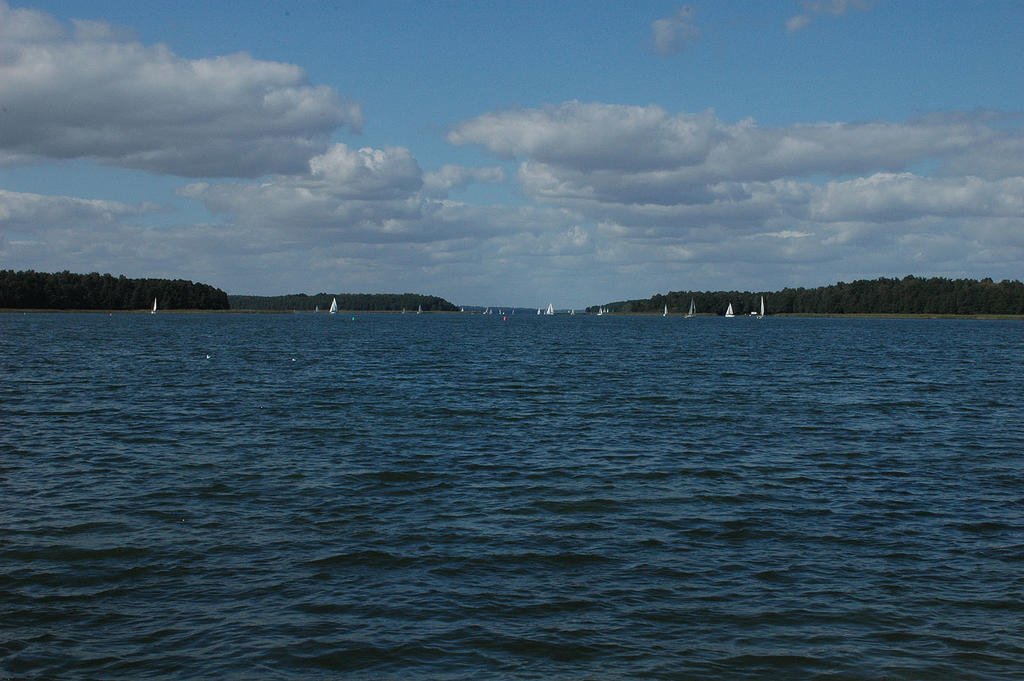 Dziewiszewo Sylwester 2025/2026