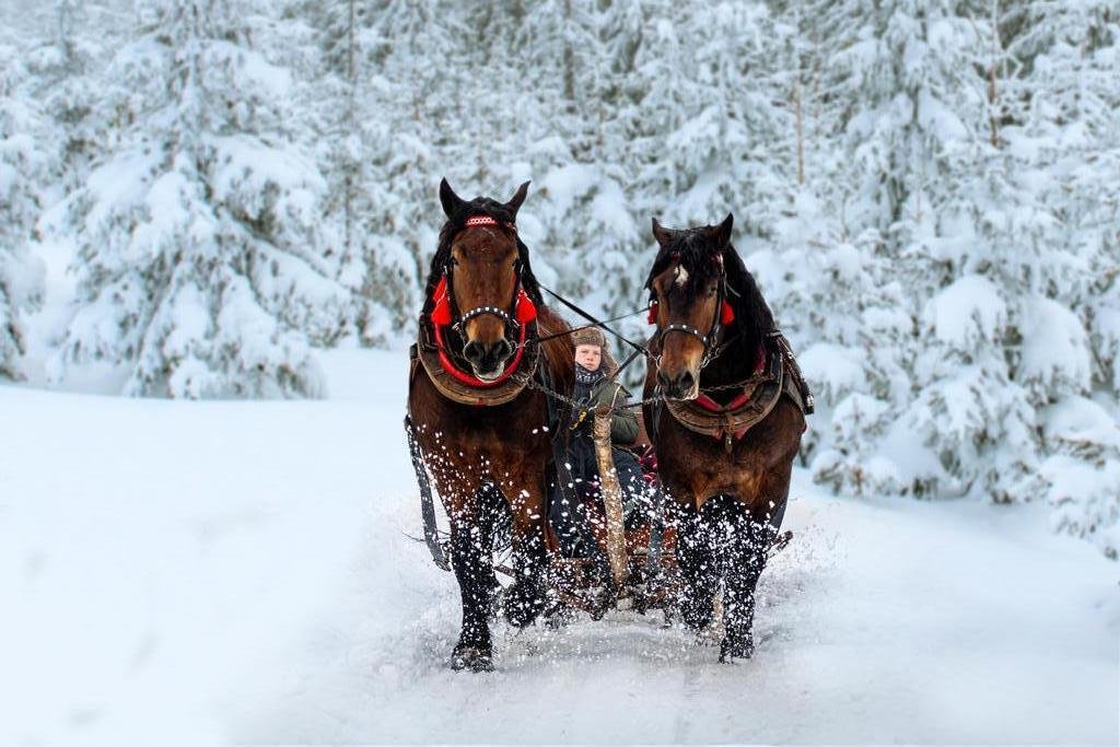 Sylwester Góralski w Wiśle, Istebnej z kuligiem i pochodniami