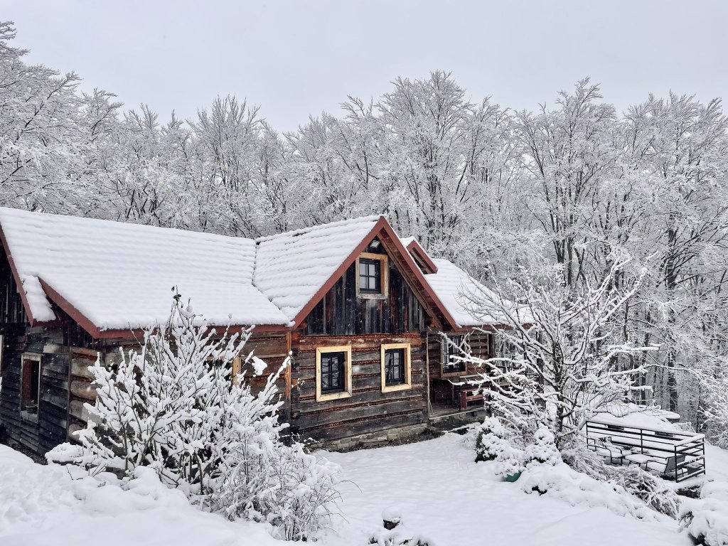 Sylwester 0% z sauną, morsowaniem i koncertem gongów w Chacie Miłośliwce