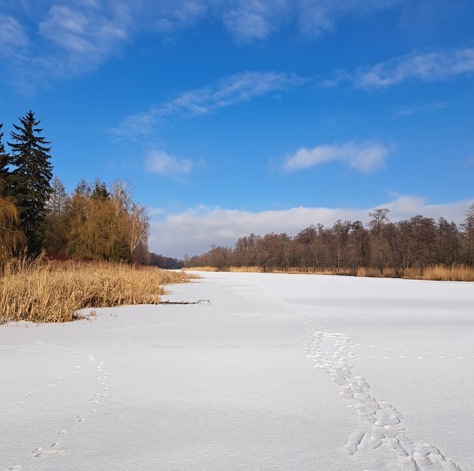Sylwester w Dworku nad Wkrą