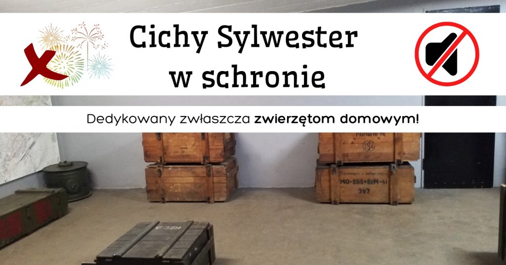 Cichy Sylwester w schronie