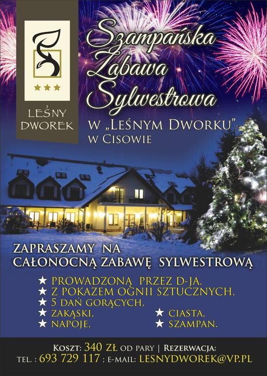 Sylwester z rodziną i przyjaciółmi